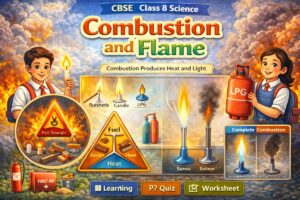 CBSE Class 8 Science Chapter Combustion and Flame