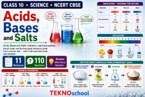 Acids Bases and Salts