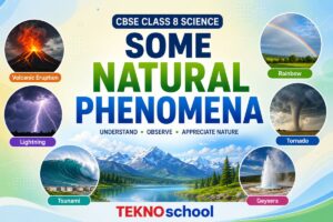 Some Natural Phenomena