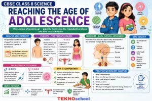 Reaching the Age of Adolescence