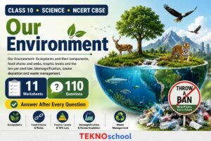 Our Environment