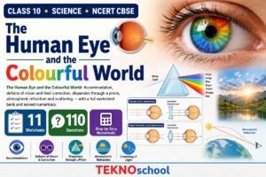 The Human Eye and the Colourful World