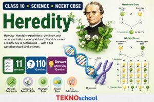 Heredity