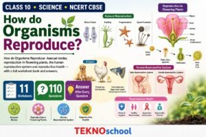 How do Organisms Reproduce