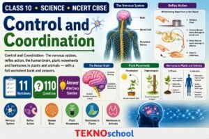 Control and Coordination