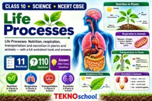 Life Processes