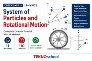 System of Particles and Rotational Motion