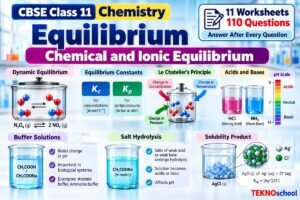 Equilibrium Chemical and Ionic Equilibrium