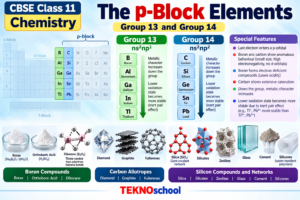 The p-Block Elements: Boron and Carbon Families